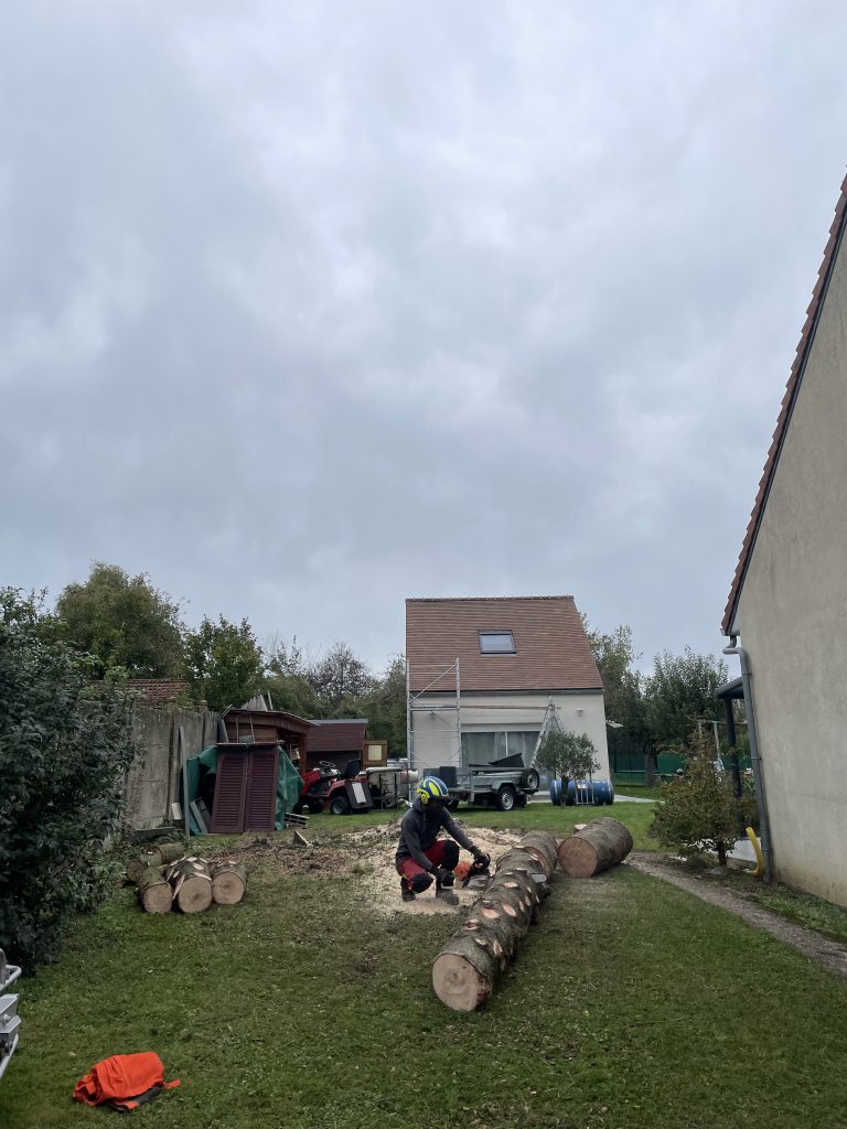 Explorez l'excellence arboricole à domicile avec notre élagueur grimpeur en pleine action d'abattage. Dans le cadre de notre service personnalisé, nous prenons en charge l'abattage stratégique d'un sapin majestueux dans le jardin d'un particulier. Chaque coupe est exécutée avec précision pour garantir la sécurité de l'environnement et transformer le paysage en un espace vert réinventé. 🌳 Points Forts de Notre Service à Domicile : Évaluation Professionnelle : Analyse approfondie de la situation pour planifier l'abattage en toute sécurité. Techniques Avancées : L'élagueur grimpeur utilise des méthodes spécialisées pour accéder aux hauteurs avec agilité. Nettoyage Efficace : Évacuation responsable des débris, laissant votre jardin prêt à accueillir de nouvelles plantations. Faites confiance à notre équipe d'experts pour métamorphoser votre espace vert. Avec notre élagueur grimpeur, chaque abattage devient une occasion de sculpter la nature avec soin et précision. 🌿 #ÉlagueurDomicile #AbattageSapin #TransformationJardin
