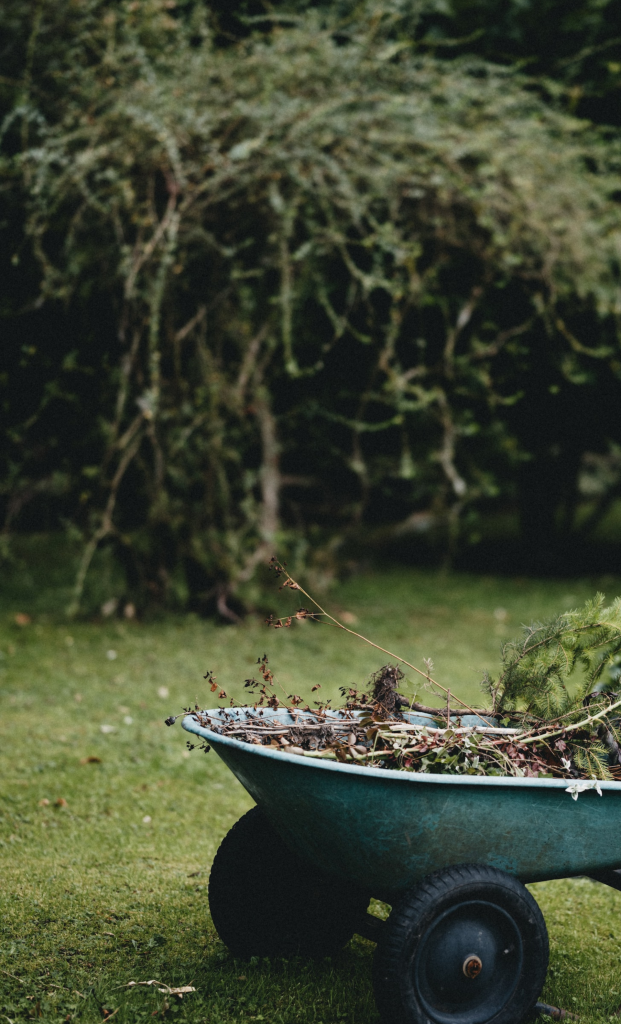 Explorez la métamorphose de votre jardin avec notre service de débroussaillage d'élagueur grimpeur. Dans cette image captivante, chaque geste est une démonstration de l'expertise technique et artistique de notre équipe. Nous allions précision et efficacité pour créer un jardin dégagé, prêt à accueillir la croissance florissante de nouvelles plantes. 🌿 Points Forts de Notre Débroussaillage : Sculpture Arboricole : L'élagueur grimpeur modèle l'espace avec précision, éliminant les végétaux indésirables tout en préservant la beauté naturelle. Sécurité Garantie : Des techniques avancées sont utilisées pour assurer un débroussaillage sécurisé, sans compromettre l'intégrité de l'environnement. Évacuation Responsable : Nous veillons à une gestion écologique des débris, laissant derrière un jardin propre et prêt pour une nouvelle vie végétale. Choisissez notre équipe d'élagueurs grimpeurs pour redéfinir l'esthétique de votre jardin. Chaque séance de débroussaillage devient une œuvre d'art, créant un espace harmonieux propice à la croissance florissante. 🌲 #DébroussaillageÉlégant #ÉlagueurJardin #EspacesVertsTransformés