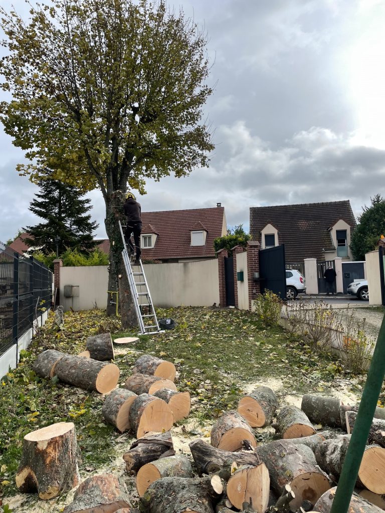 Explorez notre chantier d'élagueurs experts en action, dédiés à l'abattage et au démontage sécurisé d'érables. Notre équipe qualifiée allie compétence technique et engagement envers la gestion responsable des arbres. Chaque étape du processus est réalisée avec soin pour assurer la sécurité et minimiser l'impact sur l'environnement. 🌲 Points Forts de Notre Intervention : Sécurité Prioritaire : Protocoles stricts pour garantir la sécurité des opérations et des environs. Gestion Responsable : Prise en compte de l'impact environnemental, avec un accent sur la préservation de l'écosystème. Équipe Qualifiée : Des élagueurs expérimentés utilisant des techniques avancées pour un abattage précis. Optez pour une approche professionnelle et responsable en confiant vos projets d'élagage d'érables à notre équipe spécialisée. Nous sommes engagés à allier efficacité et responsabilité pour une gestion arboricole exemplaire. 🌳 #ÉlagageResponsable #GestionArboricole #SécuritéEnvironnement