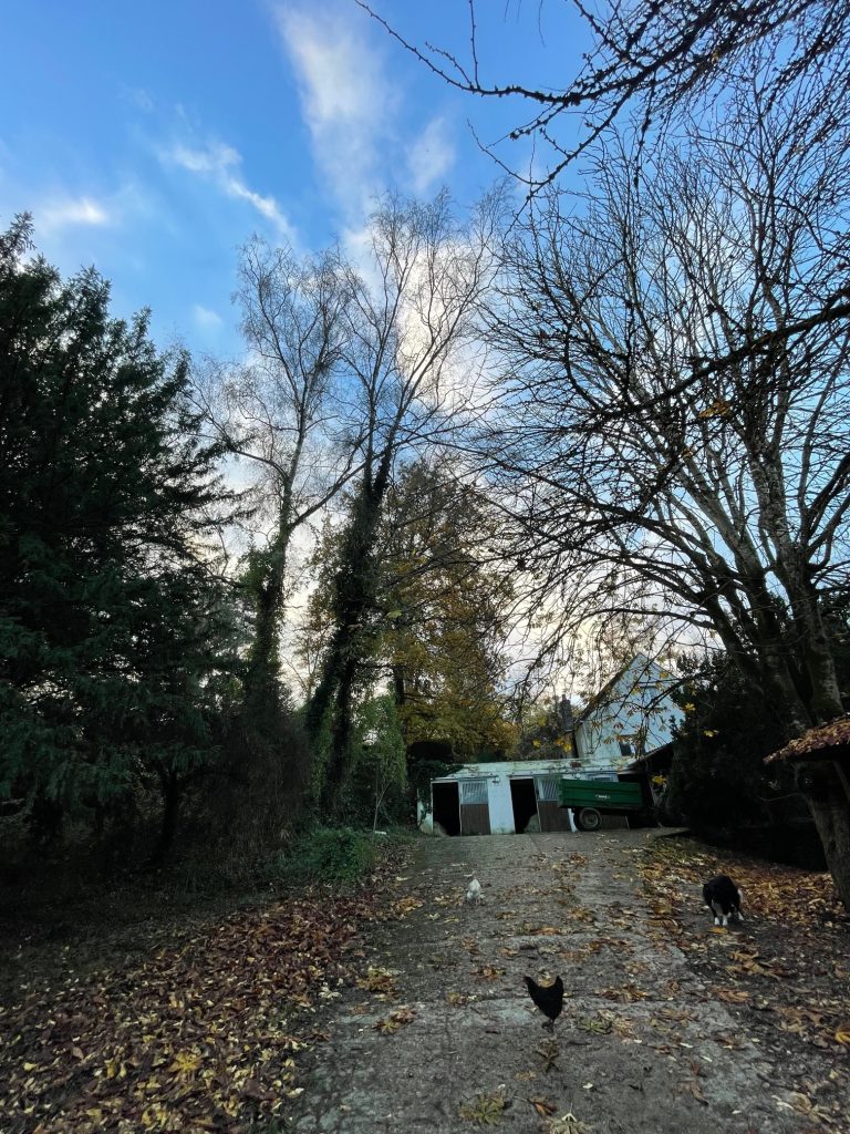 Assurez la sécurité de votre environnement avec notre équipe d'élagueurs experts prêts à intervenir en cas de risque imminent. Dans cette situation délicate, un bouleau présente un danger potentiel de chute. Notre équipe compétente utilise des techniques d'élagueage avancées pour stabiliser l'arbre, minimisant ainsi les risques et préservant la beauté naturelle de votre espace. 🌳 Intervention Rapide : Évaluation Professionnelle : Nos experts évaluent rapidement la situation pour déterminer le meilleur plan d'action. Techniques d'Élagage Sécurisées : Utilisation de méthodes avancées pour stabiliser l'arbre et éviter tout risque de chute. Préservation de l'Environnement : Nous nous engageons à préserver la santé de l'arbre tout en assurant la sécurité de votre propriété. Faites confiance à notre équipe expérimentée pour gérer les situations d'urgence liées aux arbres. Contactez-nous dès aujourd'hui pour une évaluation et une intervention rapides. 🚀 #ÉlagageUrgent #SécuritéArboricole #PréservationEnvironnement