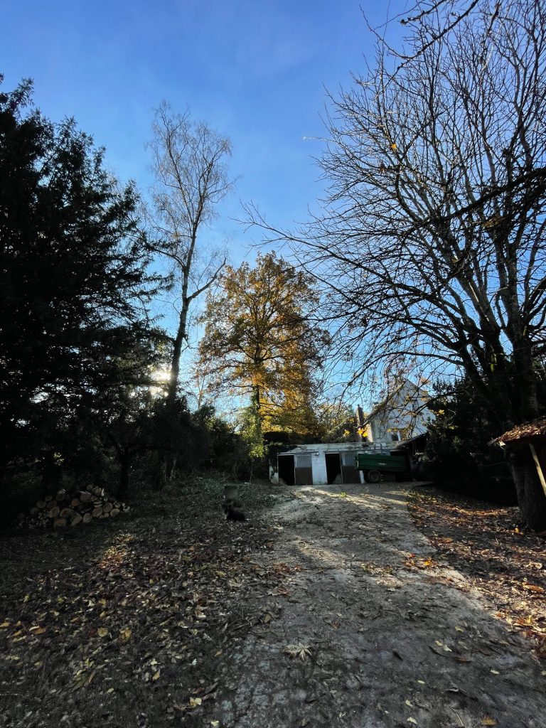 Assurez la sécurité de votre environnement avec notre équipe d'élagueurs experts prêts à intervenir en cas de risque imminent. Dans cette situation délicate, un bouleau présente un danger potentiel de chute. Notre équipe compétente utilise des techniques d'élagueage avancées pour stabiliser l'arbre, minimisant ainsi les risques et préservant la beauté naturelle de votre espace. 🌳 Intervention Rapide : Évaluation Professionnelle : Nos experts évaluent rapidement la situation pour déterminer le meilleur plan d'action. Techniques d'Élagage Sécurisées : Utilisation de méthodes avancées pour stabiliser l'arbre et éviter tout risque de chute. Préservation de l'Environnement : Nous nous engageons à préserver la santé de l'arbre tout en assurant la sécurité de votre propriété. Faites confiance à notre équipe expérimentée pour gérer les situations d'urgence liées aux arbres. Contactez-nous dès aujourd'hui pour une évaluation et une intervention rapides. 🚀 #ÉlagageUrgent #SécuritéArboricole #PréservationEnvironnement